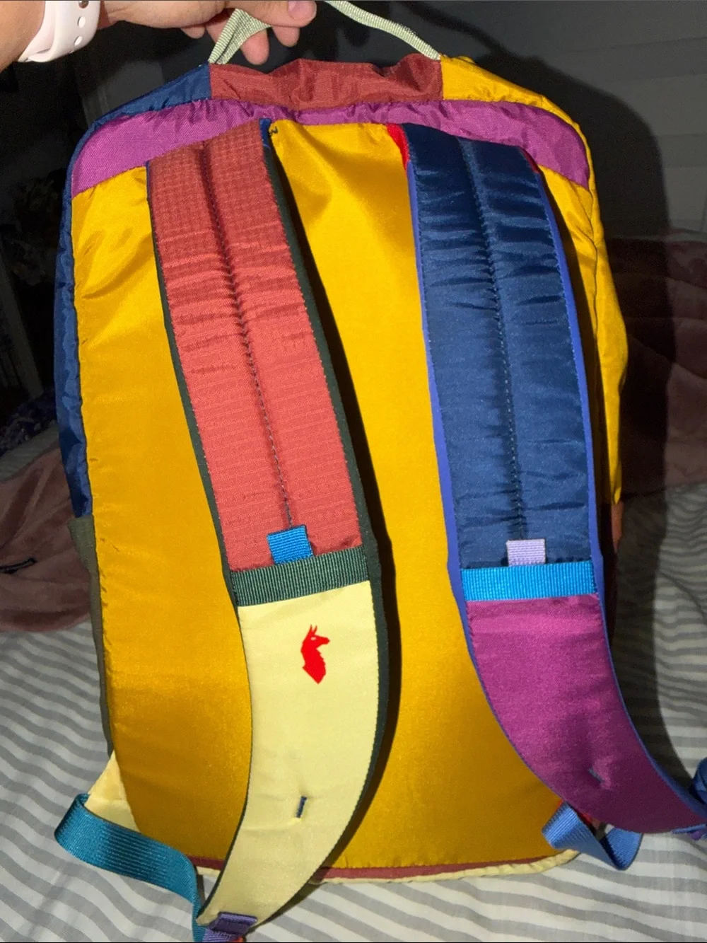 cotopaxi multicolor colorblock women's backpack - yellow/purple/teal/pink/red